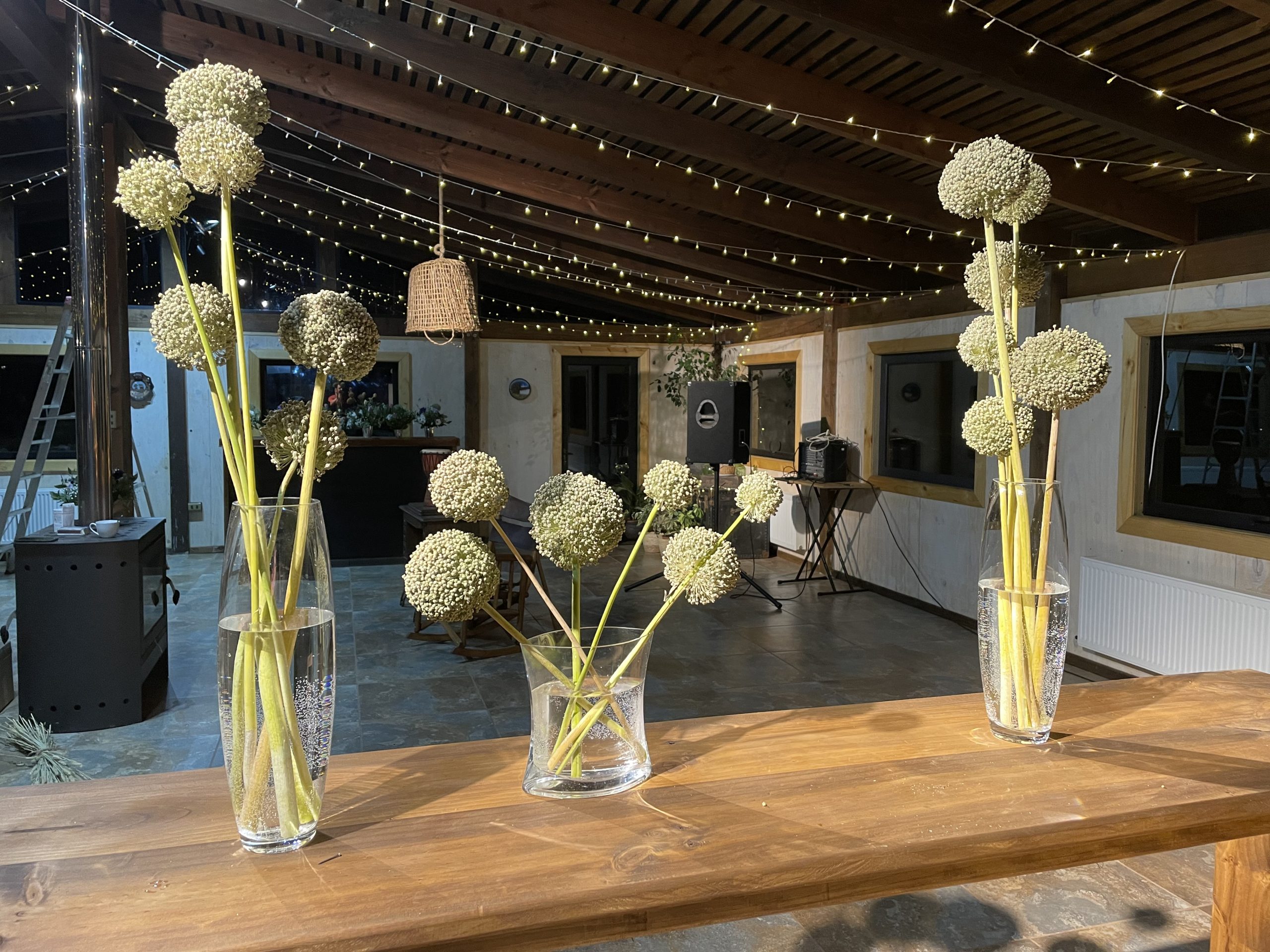 IMG-1225